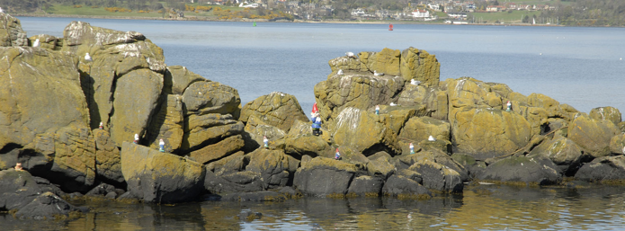 The Inchcolm Gnomes
